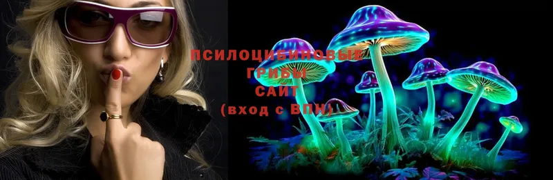 кракен зеркало  Кызыл  Псилоцибиновые грибы Psilocybine cubensis 